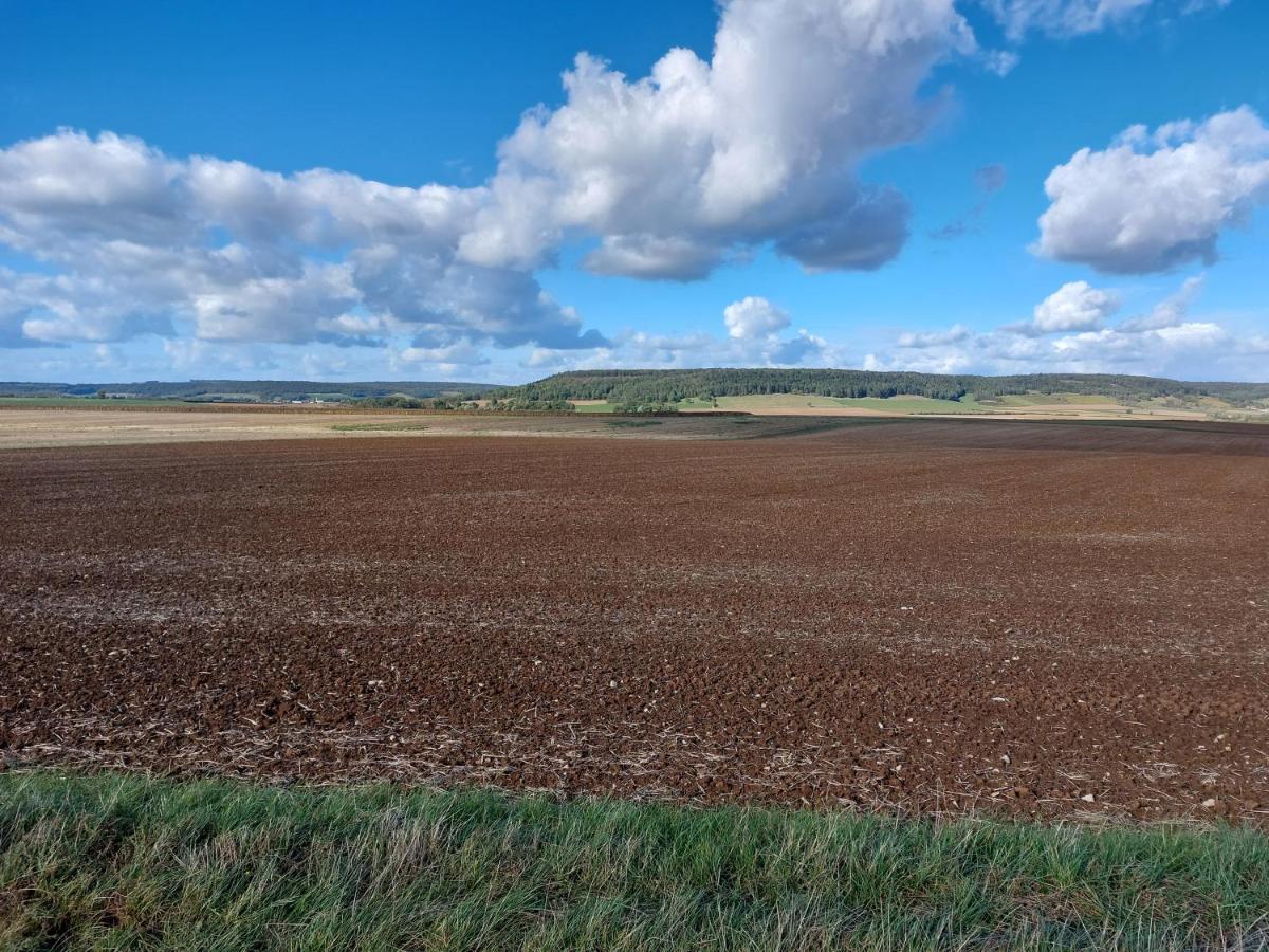 Готель Le Magiot Montliot-et-Courcelles Екстер'єр фото